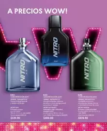 Catálogo Cyzone Página 97