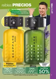 Catálogo Fuller Página 17