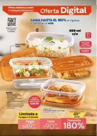 Catálogo Fuller Página 28