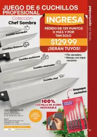 Catálogo Fuller Página 31