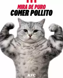 Catálogo KFC Página 1