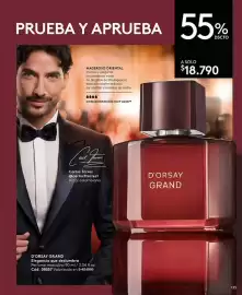 Catálogo Ésika Página 133