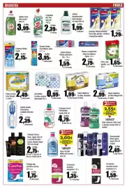 Folleto FROIZ Página 15