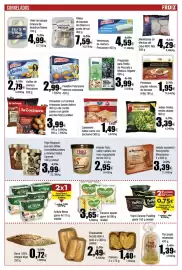 Folleto FROIZ Página 4