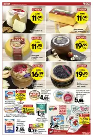 Folleto FROIZ Página 7