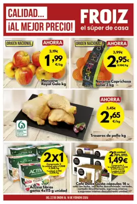 Folleto FROIZ (válido hasta el 10-02)