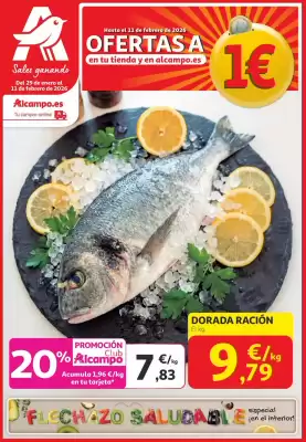 Folleto Alcampo (válido hasta el 11-02)