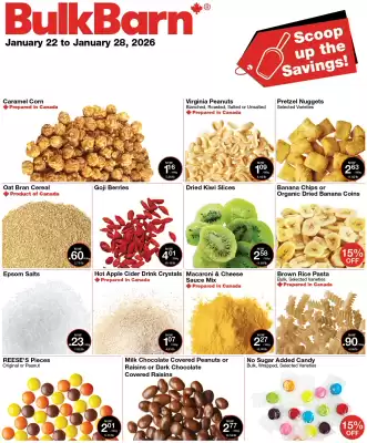 Bulk Barn flyer (valid until 28-01)