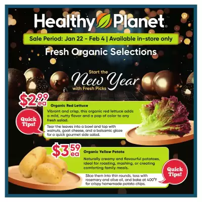 Healthy Planet flyer