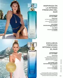 Catálogo L'bel Página 109