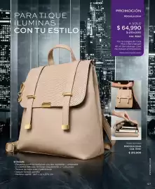 Catálogo L'bel Página 111