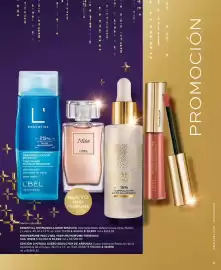 Catálogo L'bel Página 13