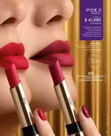 Catálogo L'bel Página 29