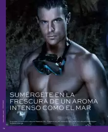 Catálogo L'bel Página 82