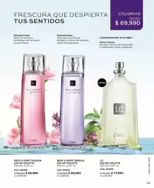 Catálogo L'bel Página 97