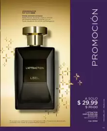 Catálogo L'bel Página 17