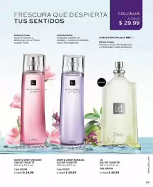 Catálogo L'bel Página 93