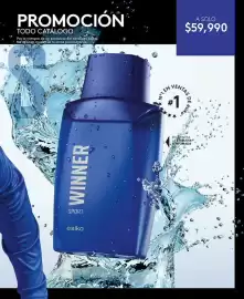 Catálogo Ésika Página 155