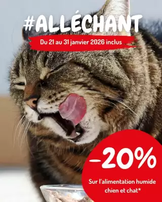 Catalogue Médor et Compagnie (valable jusqu'au 31-01)