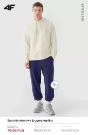 4F gazetka tydzień 4 Strona 13