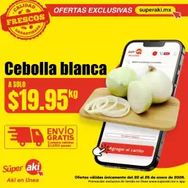 Catálogo Super Aki Página 3