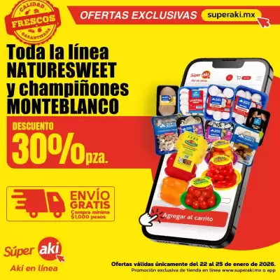 Catálogo Super Aki (válido até 25-01)