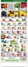 Foodtown supermarkets weekly ad week 4 Page 8