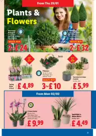 Lidl leaflet week 5 Page 21