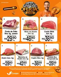 Catálogo Cocipa Página 1