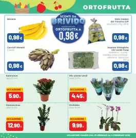 Volantino Coop Master Alleanza 3.0 Pagina 5