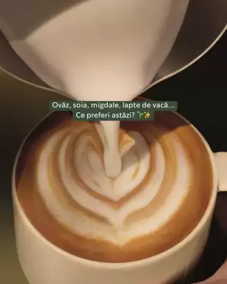 Magazine Starbucks (valid până la 28-01)