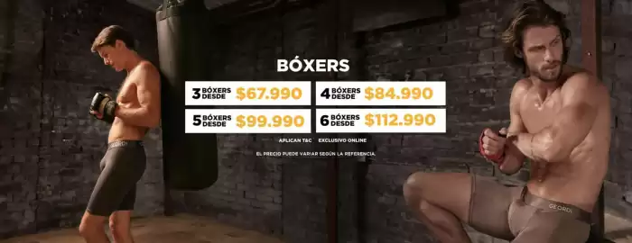 Catálogo Diane & Geordi Página 2