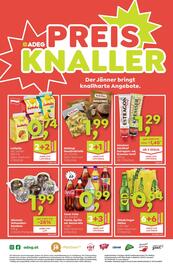 ADEG Flugblatt woche 4 Seite 8