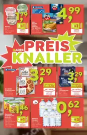 ADEG Flugblatt woche 4 Seite 2