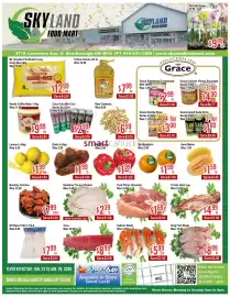 Skyland Foodmart flyer week 4 Page 1