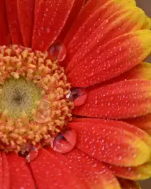 Catálogo Nikon Página 2