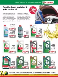 AutoZone catalogue Page 31