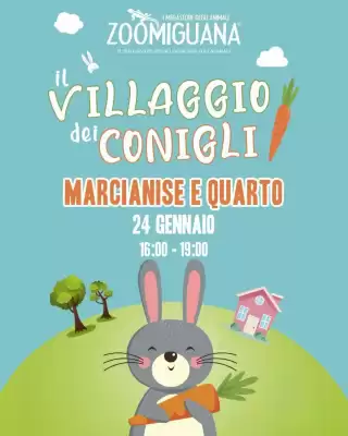 Volantino Zoomiguana (valido fino al 24-01)