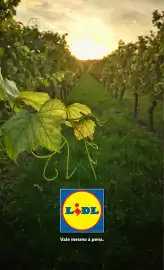 Folheto Lidl | Especial Página 32