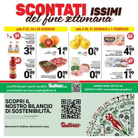 Volantino Supermercati Gulliver Pagina 24