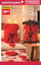 Biedronka gazetka Strona 11