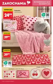 Biedronka gazetka Strona 15