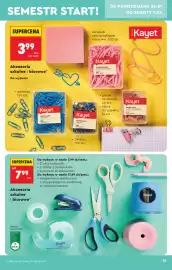 Biedronka gazetka Strona 17