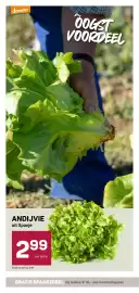 Ekoplaza folder week 5 Pagina 8