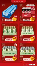 PENNY Prospekt woche 5 Seite 17