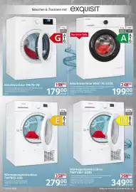 Selgros Prospekt woche 5 Seite 13