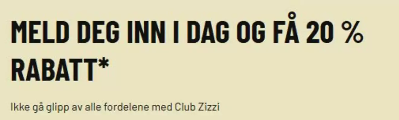 Zizzi kundeavis (gyldig til 31-01)