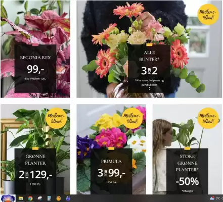 Floriss kundeavis (gyldig til 29-01)