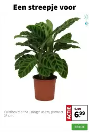 Intratuin folder week 5 Pagina 2