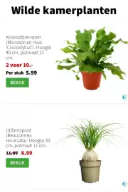 Intratuin folder week 5 Pagina 3